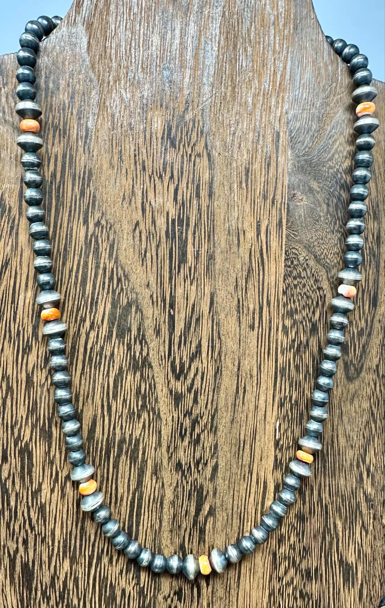 Chimney Butte + Navajo + Spiny