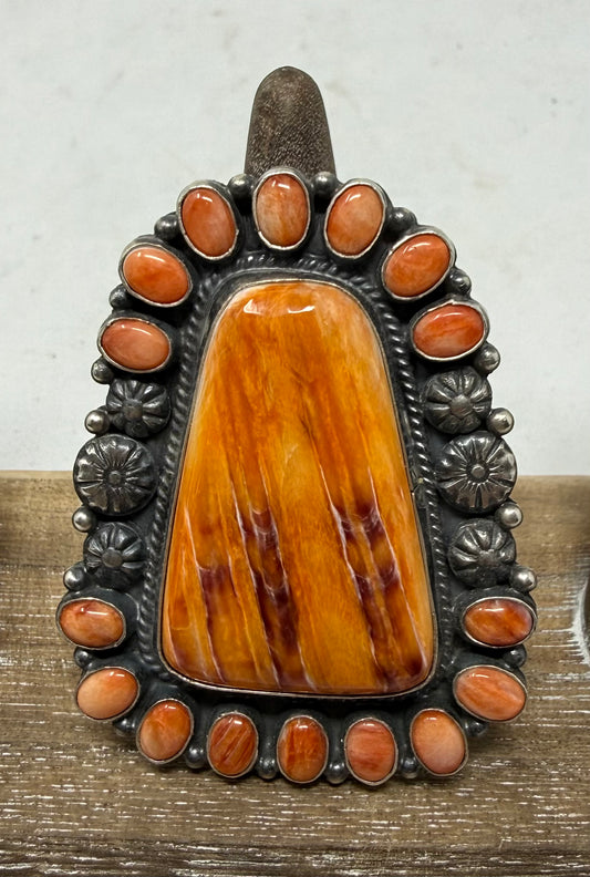 The Spiny Ring